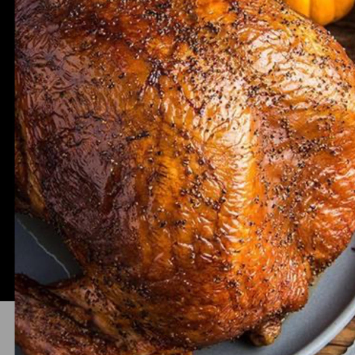 ChefNic whole turkey, second angle